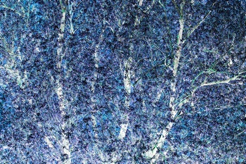 T 069D